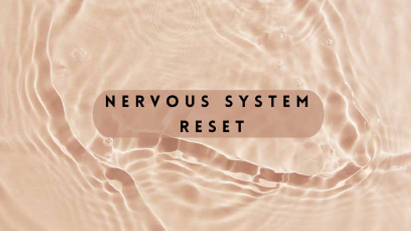 MEDITATION: Nervous System Reset